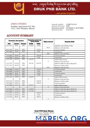 Downloadable Bhutan Druk PNB bank statement word real example